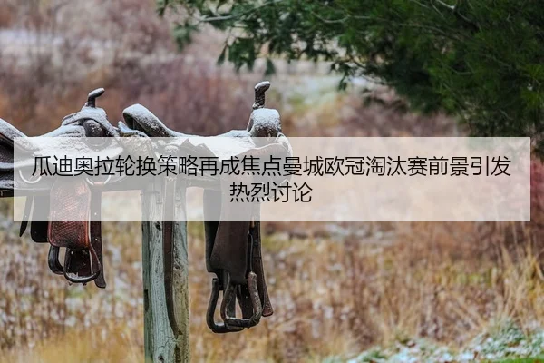 瓜迪奥拉轮换策略再成焦点曼城欧冠淘汰赛前景引发热烈讨论